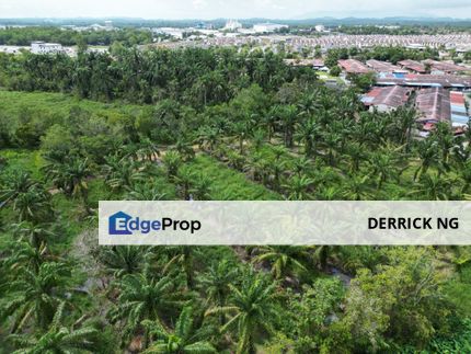 Kuala Ketil Agricultural Land Zoning Residential Free Hold Non Bumi Lot For Sale, Kedah, Kuala Ketil