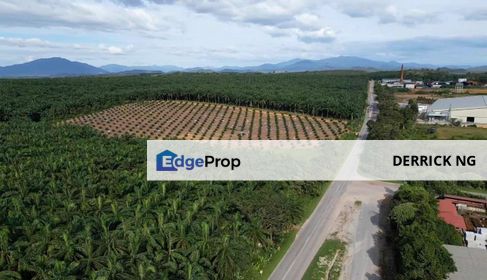 Bukit Selambau Agricultural Land Beside Road Zoning Industry Area For Sale, Kedah, Sungai Petani