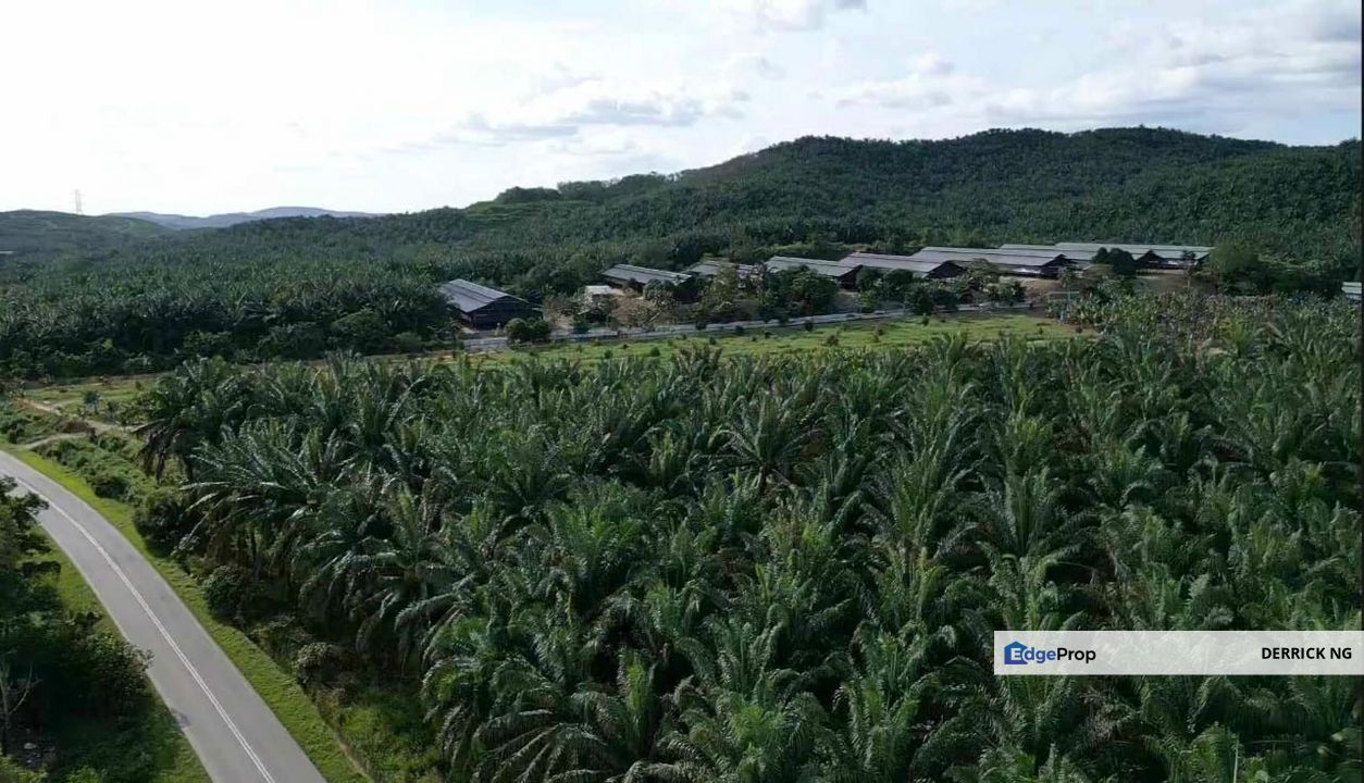 Bukit Selambau Agricultural Land Beside Road Zoning Industry Area For Sale, Kedah, Sungai Petani