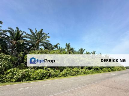 Bandar Amanjaya Behide Taman Kelisa Ria , Sceintex Project Agricultural Land Facing Road For Sale Zoning Residential, Kedah, Sungai Petani