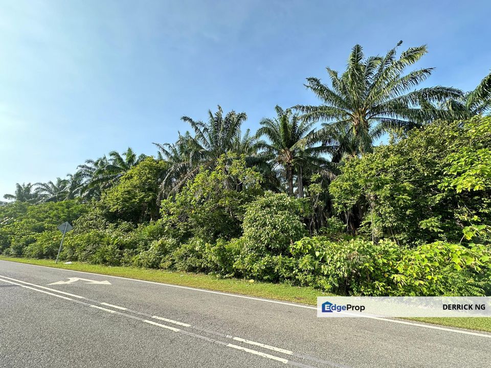 Bandar Amanjaya Behide Taman Kelisa Ria , Sceintex Project Agricultural Land Facing Road For Sale Zoning Residential, Kedah, Sungai Petani