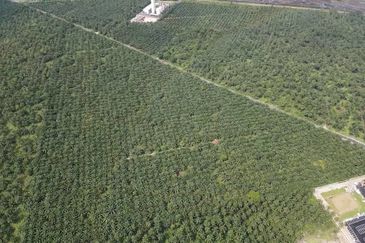 Bestari Jaya Batang Berjuntai Agril Land 15 Acre For rent