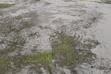 Pulau Indah Industrial Area