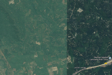 Lakum ,Sematan Temerloh , Agrilculture Land 300 Acre Per Acre Rm15k With Ready Title 