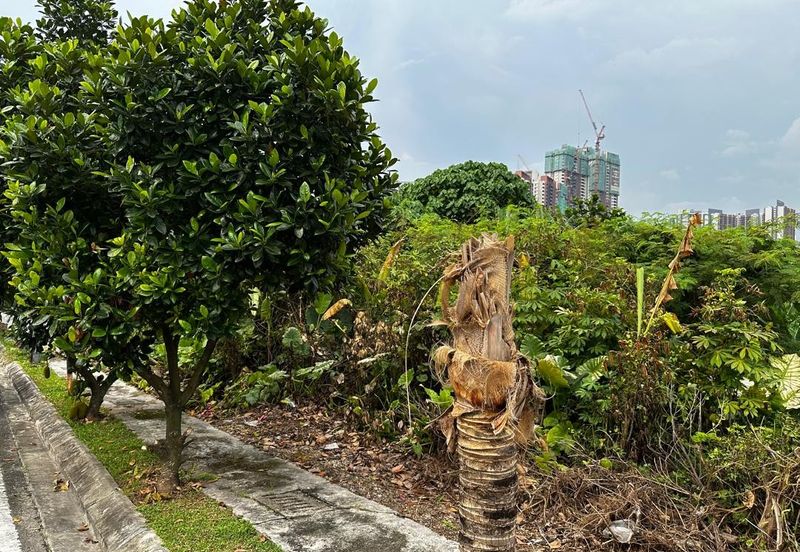 Taman Tiara Titiwangsa