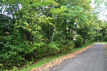 Rembau Commercial Land Freehold @ Negeri Sembilan