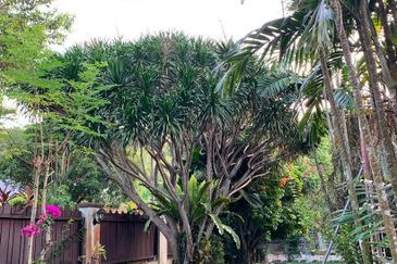 Seksyen 12, Petaling Jaya