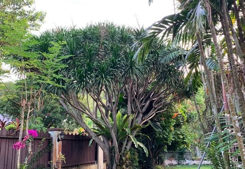 Seksyen 12, Petaling Jaya