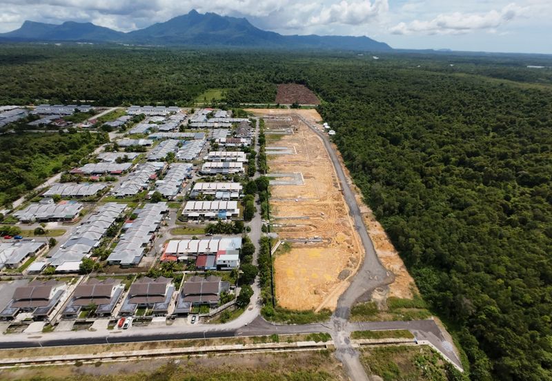 Petra Vistana Malachite