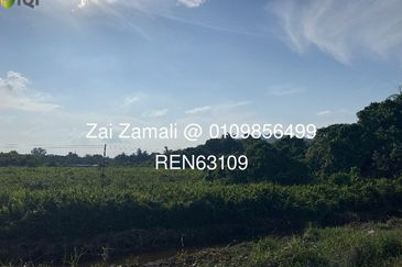 Native Land of Jalan Sungai Buah