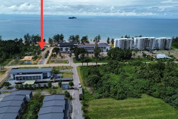 TorQuay @Roxy Sematan