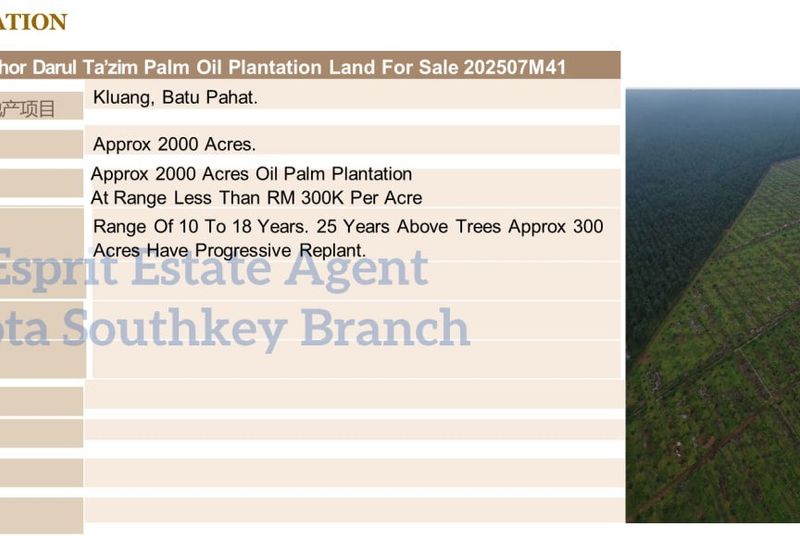 Oil Palm Land @ Labis