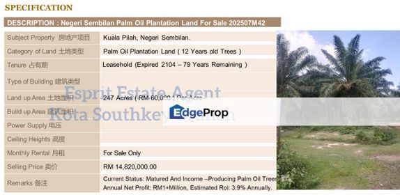 WTS/Kuala Pilah/247 Acres/14,820,000, Negeri Sembilan, Kuala Pilah