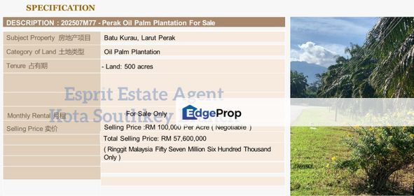 WTS/Batu Kurau, Larut Perak/Oil Palm Plantation/500 Acres/56,700 Million, Perak, Batu Kurau