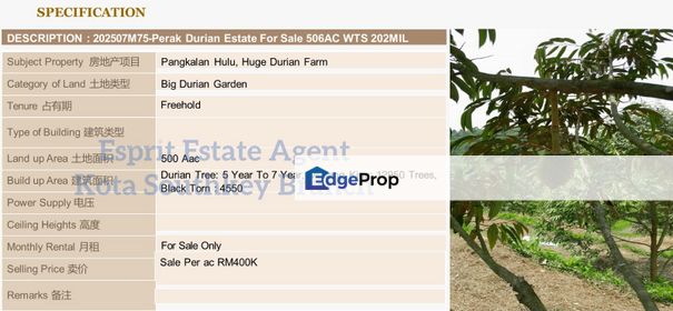 WTS/Durian Estate/Pengkalan Hulu, Perak/500 Acres/400,000, Perak, Hulu Perak
