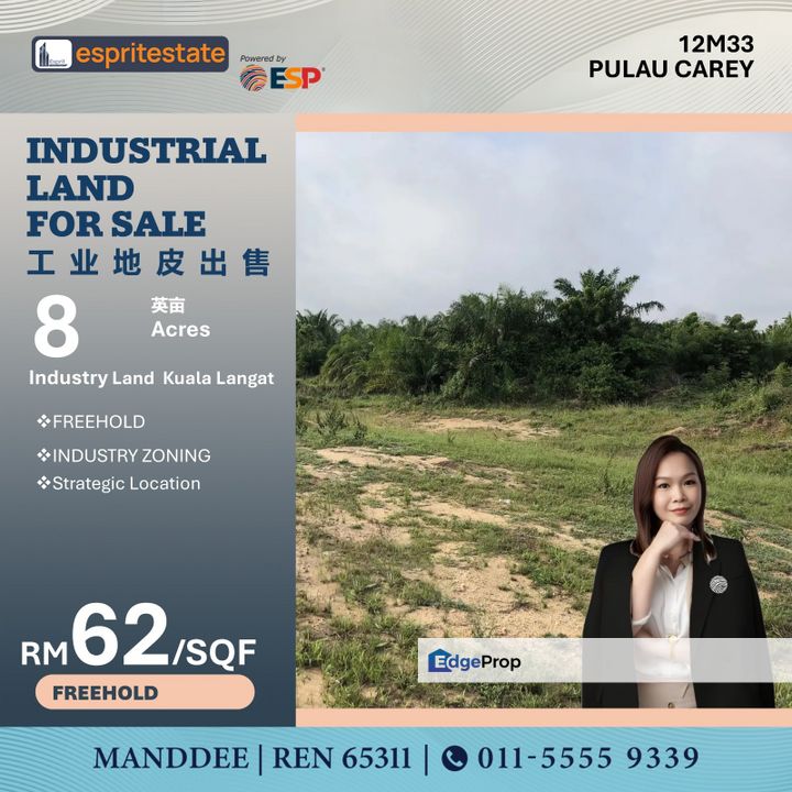 WTS/INDUSTRIAL LAND/8 ACRE/22MIL/PULAU CAREY, Selangor, Pulau Carey