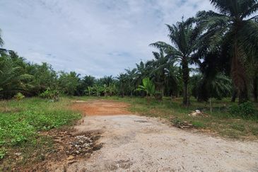 0.5 acres agriculture Land, Facing main road Jalan Tanjung Karang, For Sales