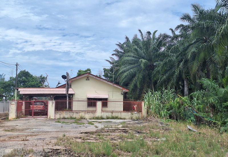 1.153  acres agriculture land( industrial zon)Facing main road Jalan Tanjung Karang, For Sales
