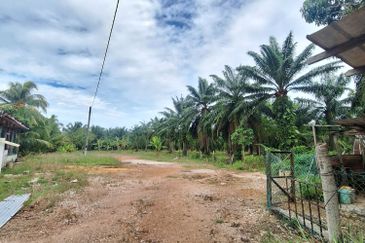 0.5 acres agriculture Land, Facing main road Jalan Tanjung Karang, For Sales