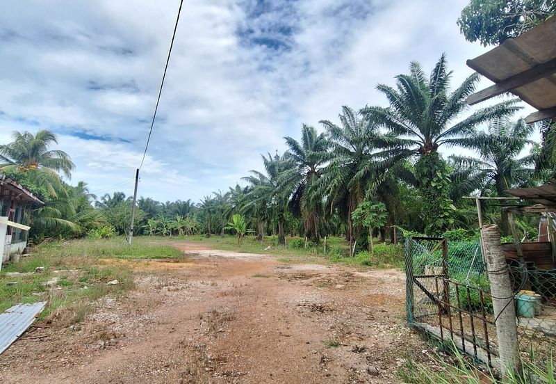 1.153  acres agriculture land( industrial zon)Facing main road Jalan Tanjung Karang, For Sales