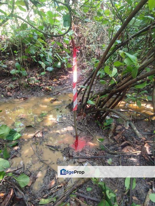 Land For Sale Kg. Limau Manis, Mukim Dengkil, Daerah Sepang, Selangor For Sale, Selangor, Kajang