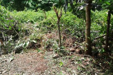 TAMAN SRI WANG FASA II