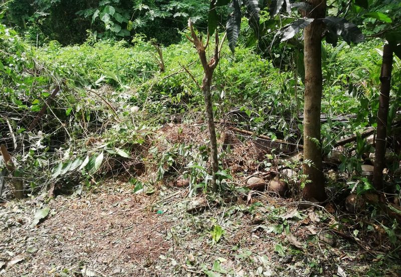 TAMAN SRI WANG FASA II