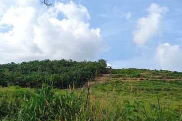 Bandar Primer Kluang