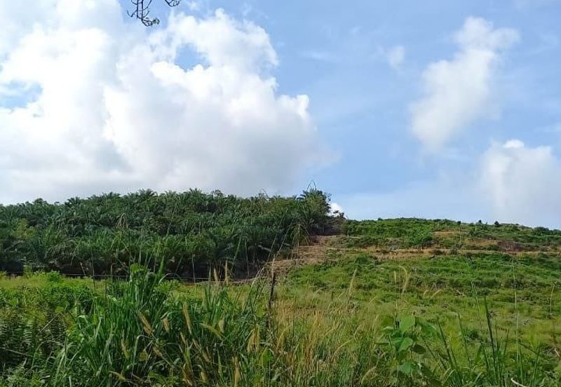 Bandar Primer Kluang