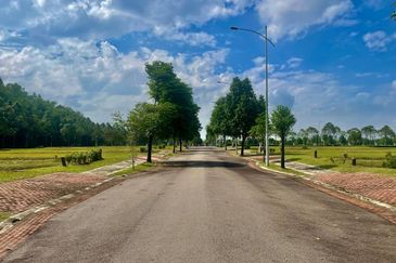 Gentlebre @ Eco Majestic