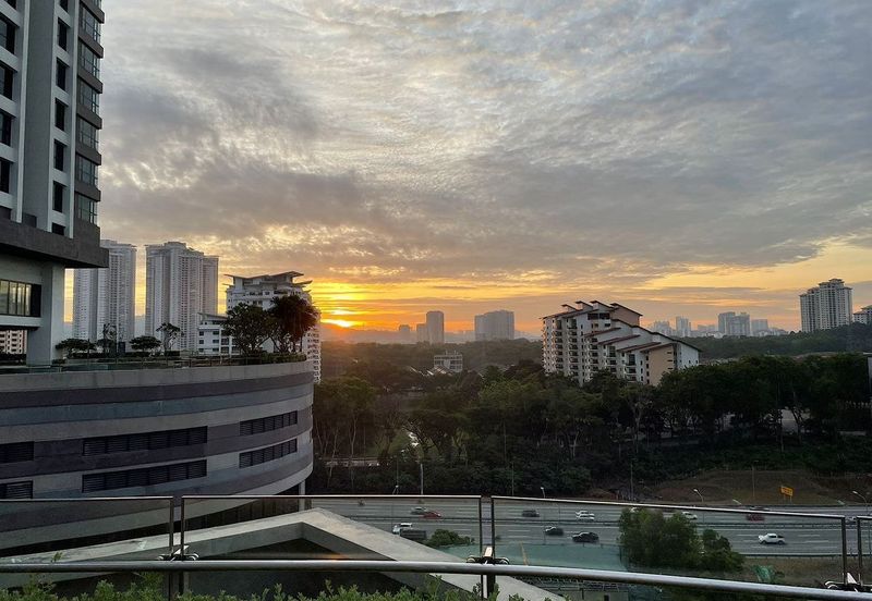Dianthus @ Tropicana Gardens
