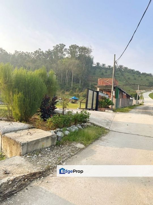 FREEHOLD 6 Acre Durian Farm, Mukim Serendah, Selangor, Hulu Selangor