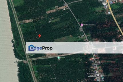 For Sale. 3.25 Acres Agriculture Land with Palm Oil Tree @ Teluk Kerang, Pontian, Johor, Pontian