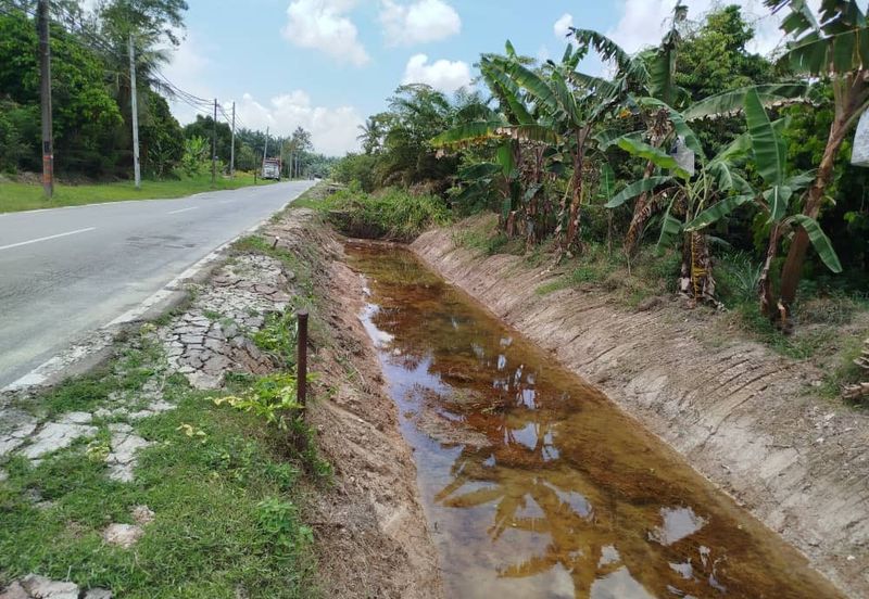For Sale. 6.64 Acre Fruit Farm (Durian, Pulasan, Oil Palm) @ Ayer Baloi, Pontian