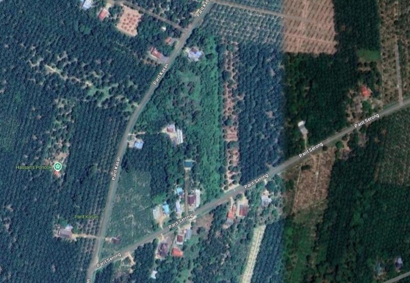 For Sale. 6.64 Acre Fruit Farm (Durian, Pulasan, Oil Palm) @ Ayer Baloi, Pontian