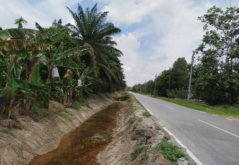For Sale. 6.64 Acre Fruit Farm (Durian, Pulasan, Oil Palm) @ Ayer Baloi, Pontian