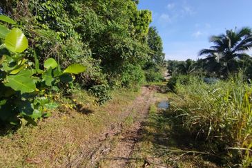 2 Acre Agriculture Land Commercial Zone @ Ulu Tiram