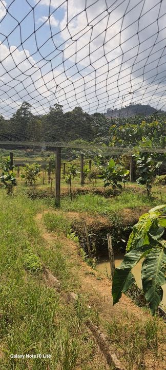 For Sale. 2.59 Acres Agriculture Land @ Kangkar Pulai, Johor, Johor, Kangkar Pulai