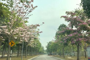 Noble Park @ East Ledang