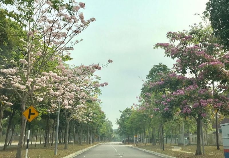 Noble Park @ East Ledang