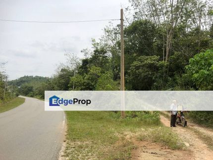 AGRICULTURE LAND [3 LOT SIDE BY SIDE] KUALA LIPIS, BATU YON, PAHANG, Pahang, Kuala Lipis