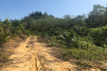 TANAH PERTANIAN 6 EKAR UNTUK DIJUAL Kampung Bukit Sikoh, Tanah Merah, Kelantan