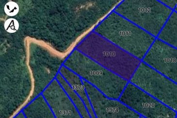 TANAH PERTANIAN 6 EKAR UNTUK DIJUAL Kampung Bukit Sikoh, Tanah Merah, Kelantan