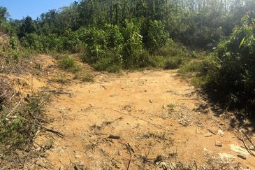 TANAH PERTANIAN 6 EKAR UNTUK DIJUAL Kampung Bukit Sikoh, Tanah Merah, Kelantan