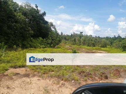 [TEPI JALAN] Tanah Pertanian 3.84 ekar untuk dijual Kampung Bukit Nangka, Tanah Merah, Kelantan., Kelantan, Tanah Merah