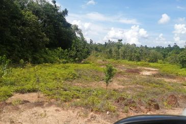 [TEPI JALAN] Tanah Pertanian 3.84 ekar untuk dijual Kampung Bukit Nangka, Tanah Merah, Kelantan.