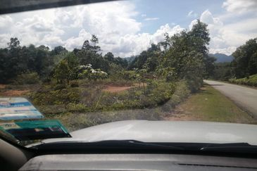 [TEPI JALAN] Tanah Pertanian 3.84 ekar untuk dijual Kampung Bukit Nangka, Tanah Merah, Kelantan.