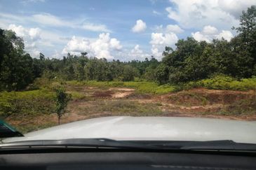 [TEPI JALAN] Tanah Pertanian 3.84 ekar untuk dijual Kampung Bukit Nangka, Tanah Merah, Kelantan.