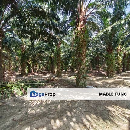 Freehold Agricultural Land for sale at Alor Gajah Melaka, Melaka, Alor Gajah