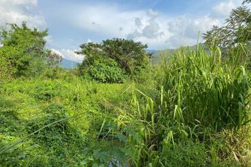 Semenyih Integrated Industrial Park
